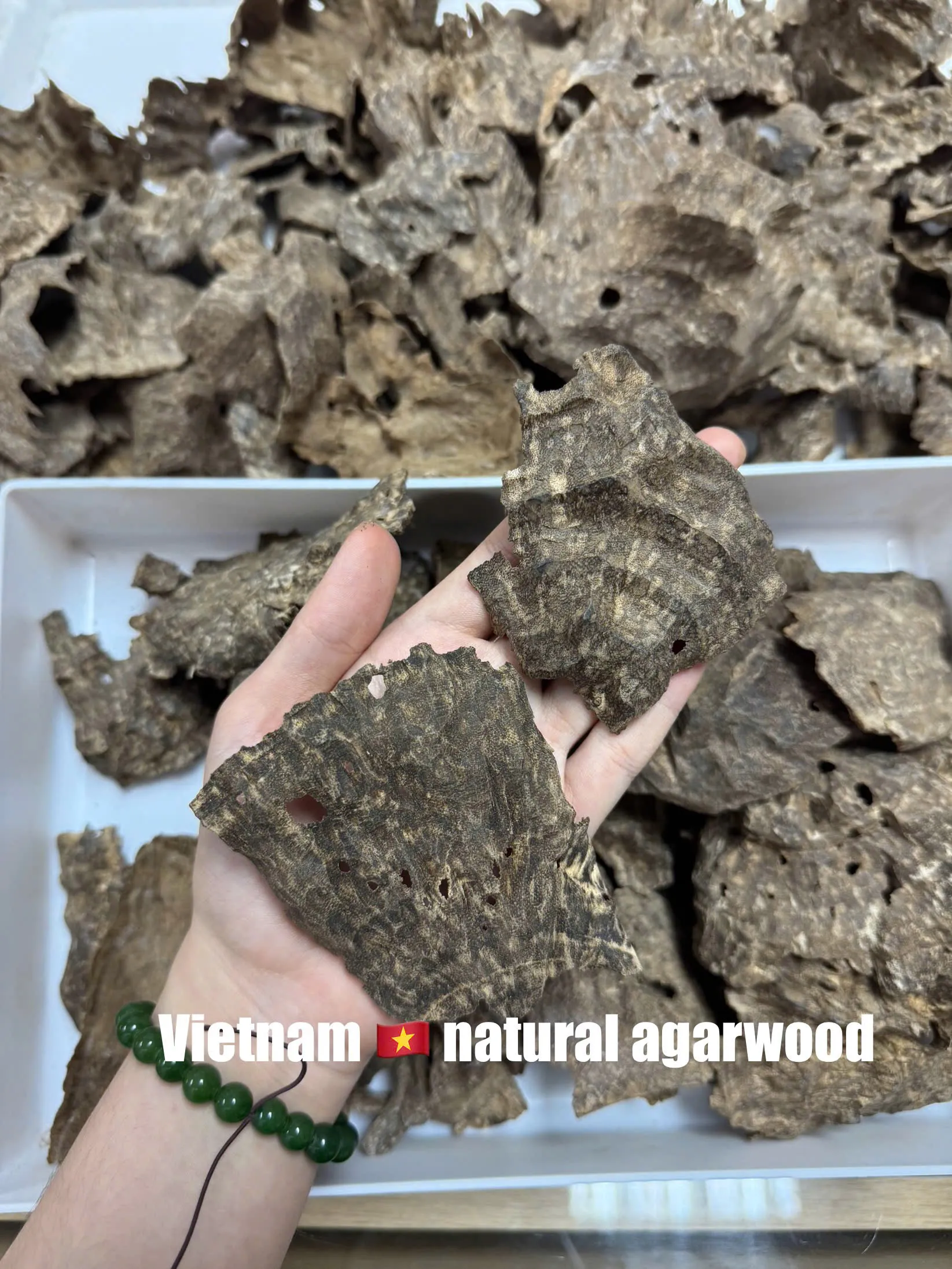 Premium Char Oud – Cultivated Agarwood Chips (High Oil Content for Incense &amp; Meditation)